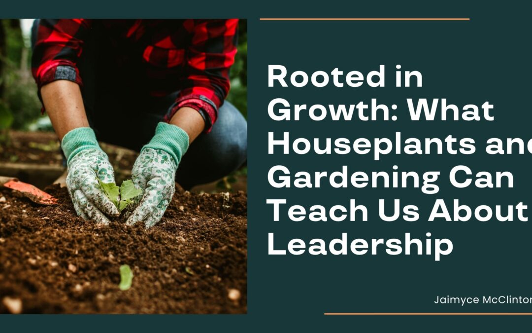 Rooted in Growth: What Houseplants and Gardening Can Teach Us About Leadership
